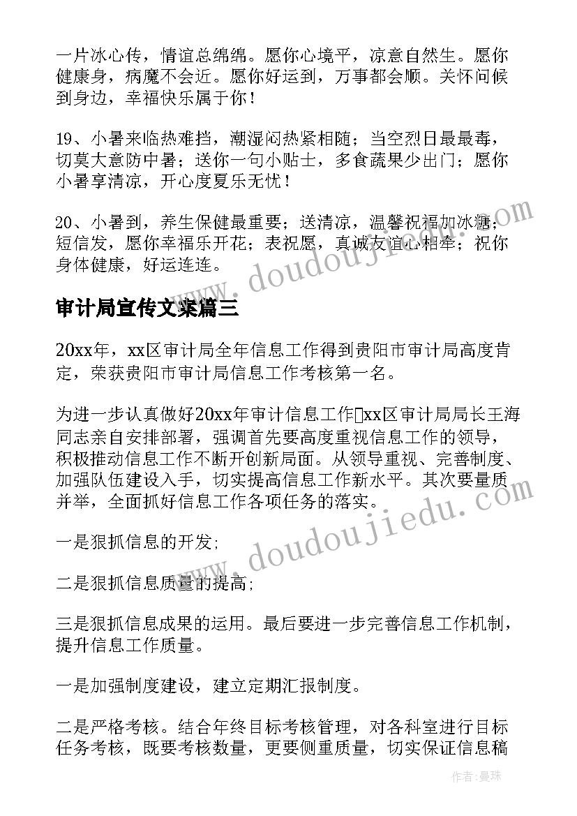 2023年审计局宣传文案 宣传海报文案(汇总9篇)