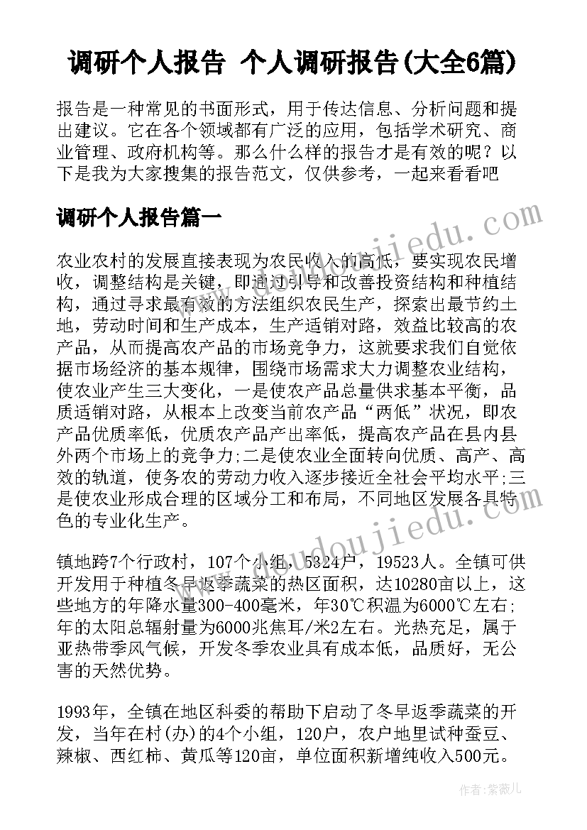 调研个人报告 个人调研报告(大全6篇)