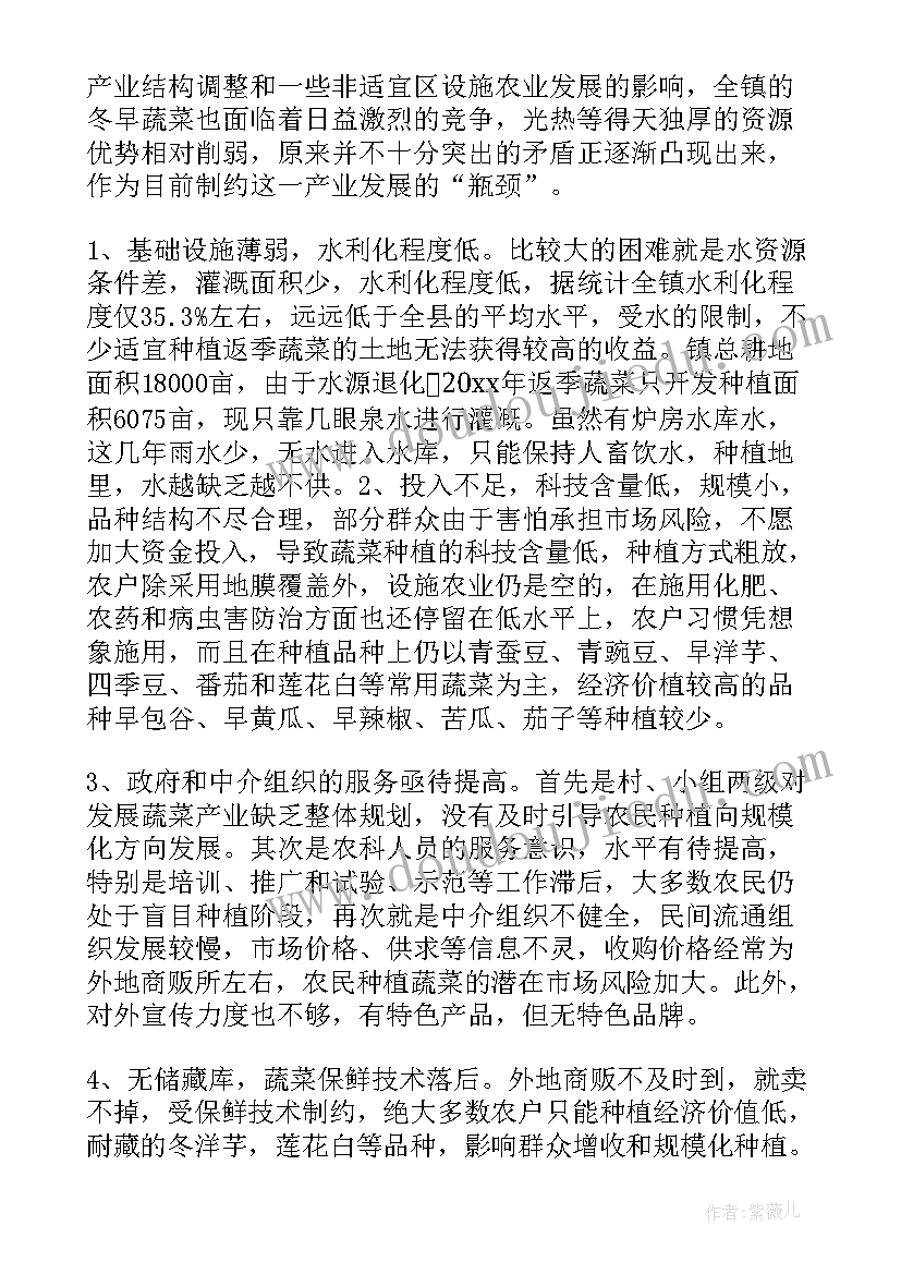 调研个人报告 个人调研报告(大全6篇)