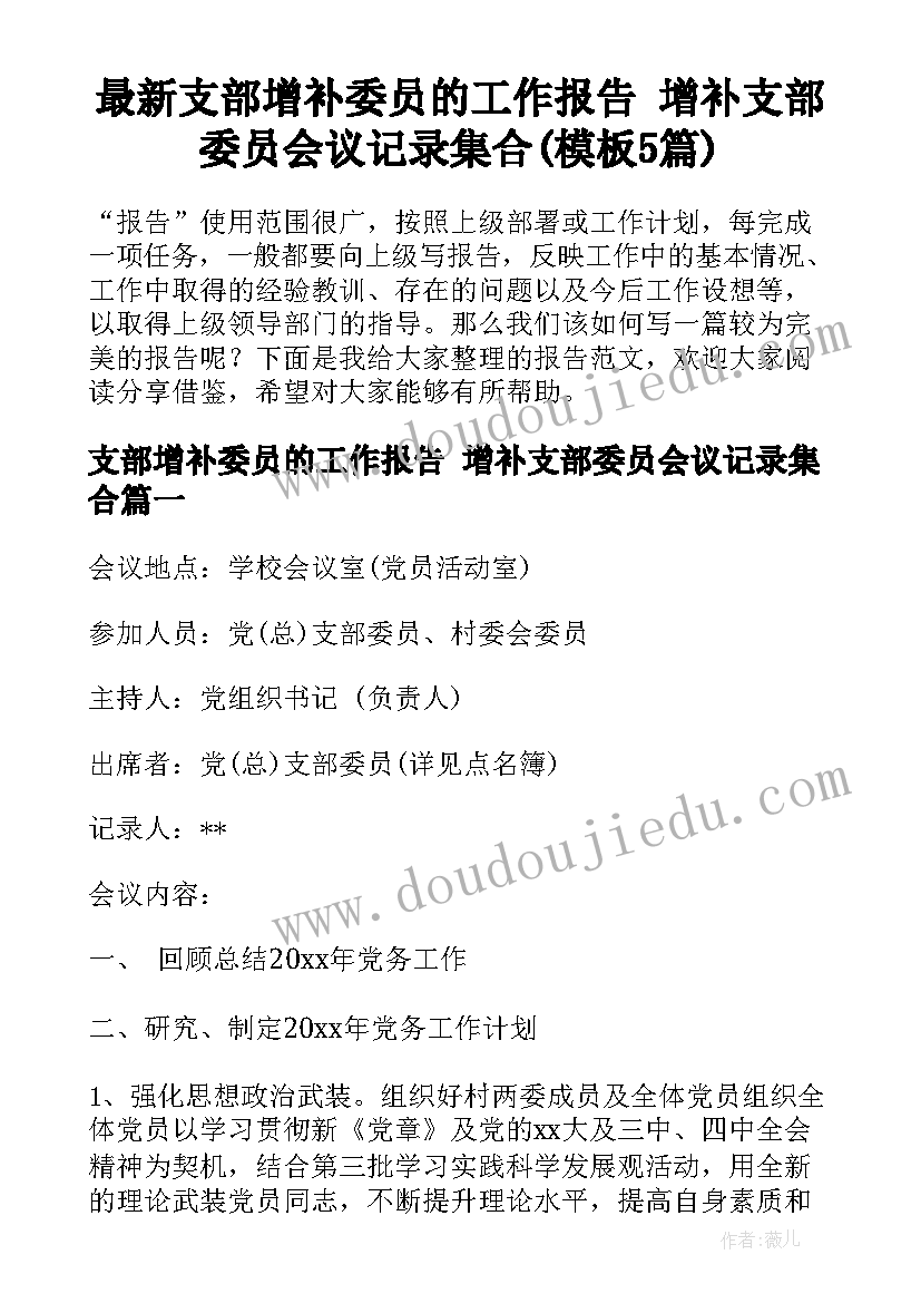 最新支部增补委员的工作报告 增补支部委员会议记录集合(模板5篇)