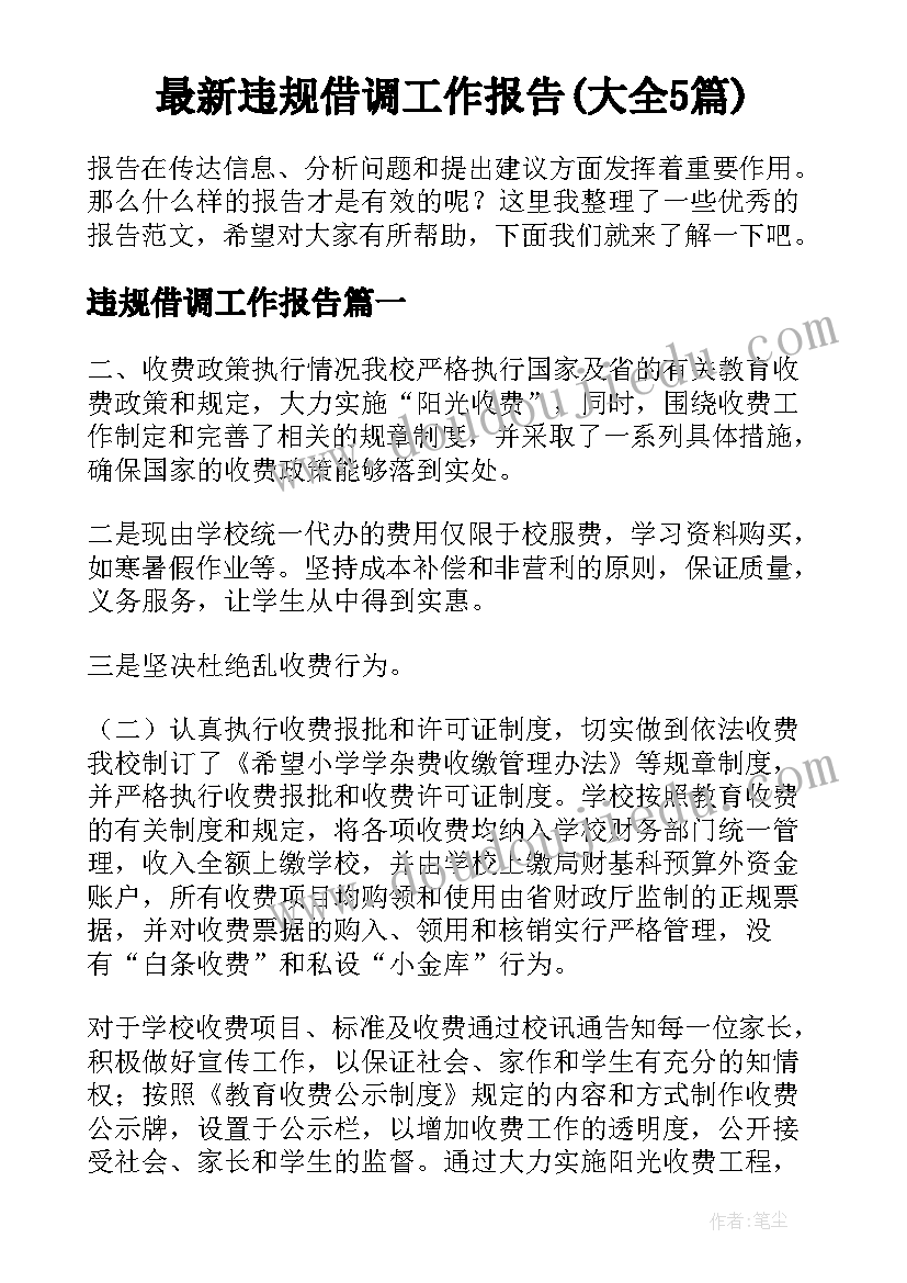 最新违规借调工作报告(大全5篇)