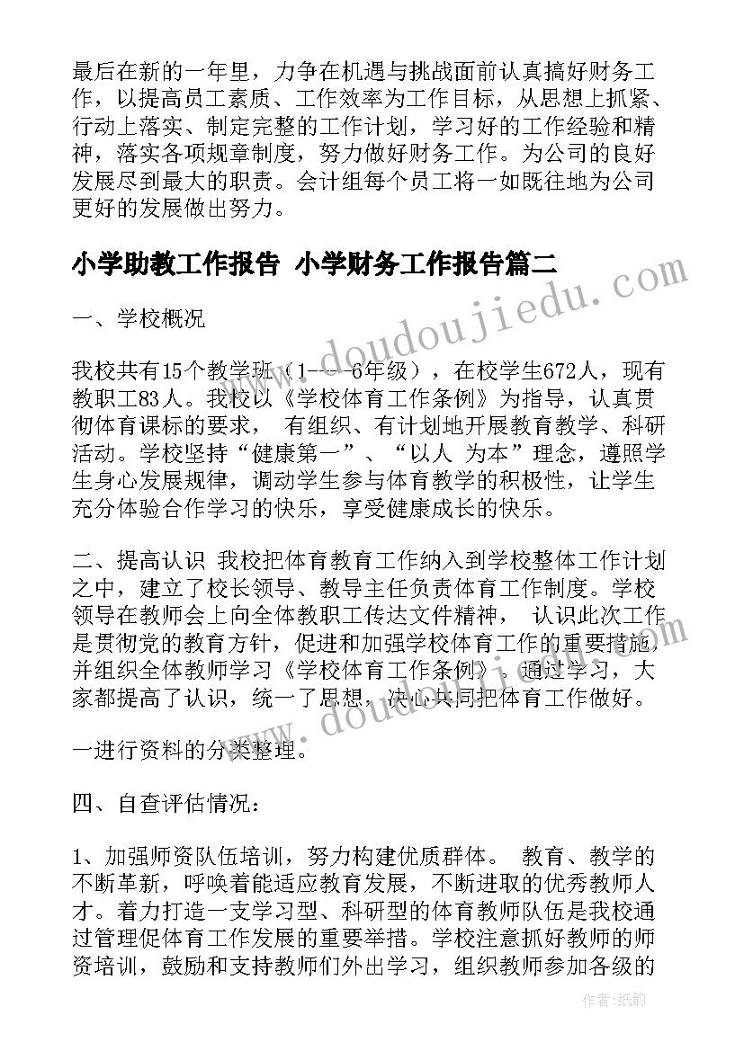 2023年小学助教工作报告 小学财务工作报告(精选9篇)