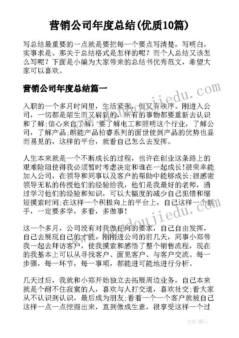 营销公司年度总结(优质10篇)