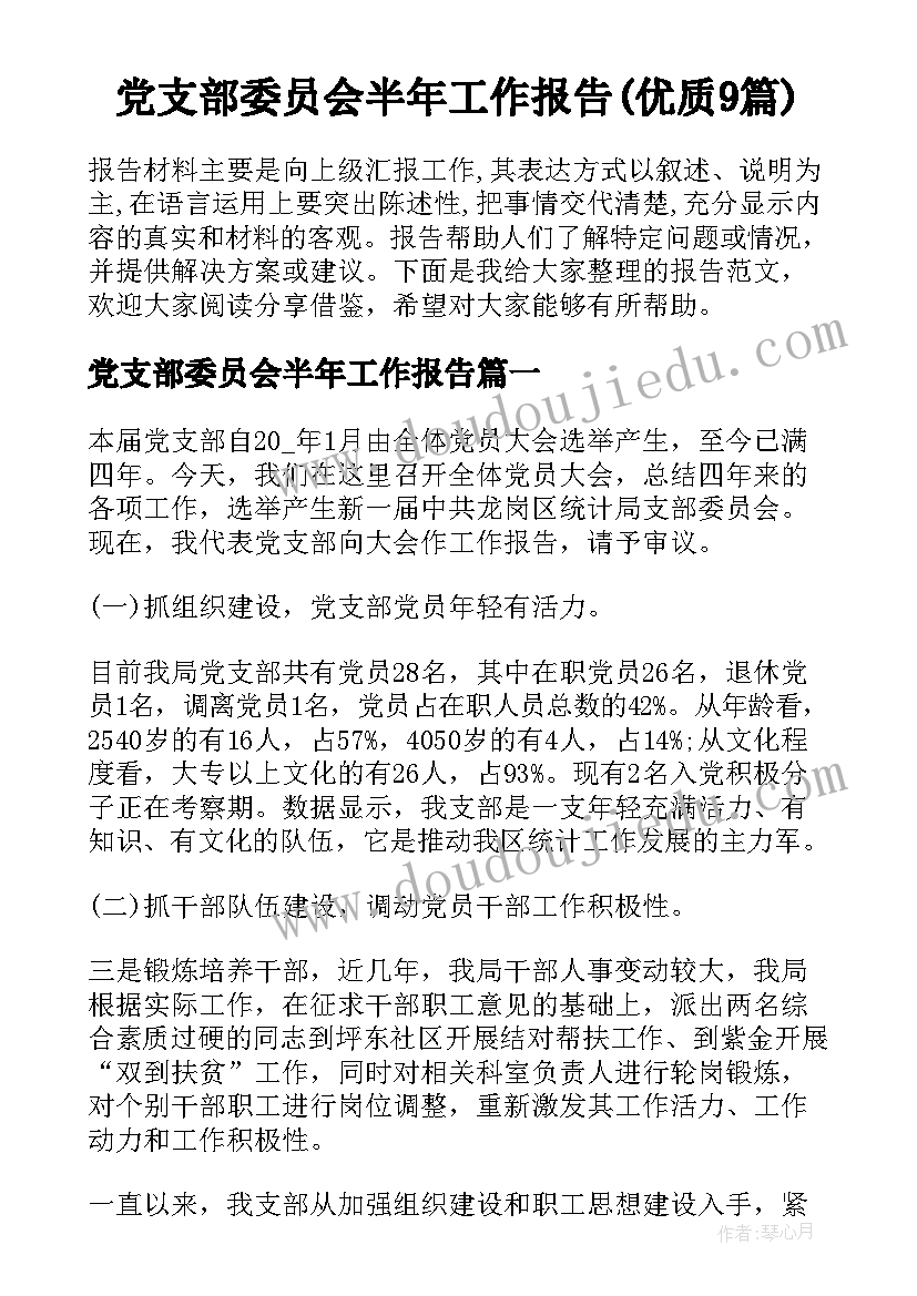 党支部委员会半年工作报告(优质9篇)