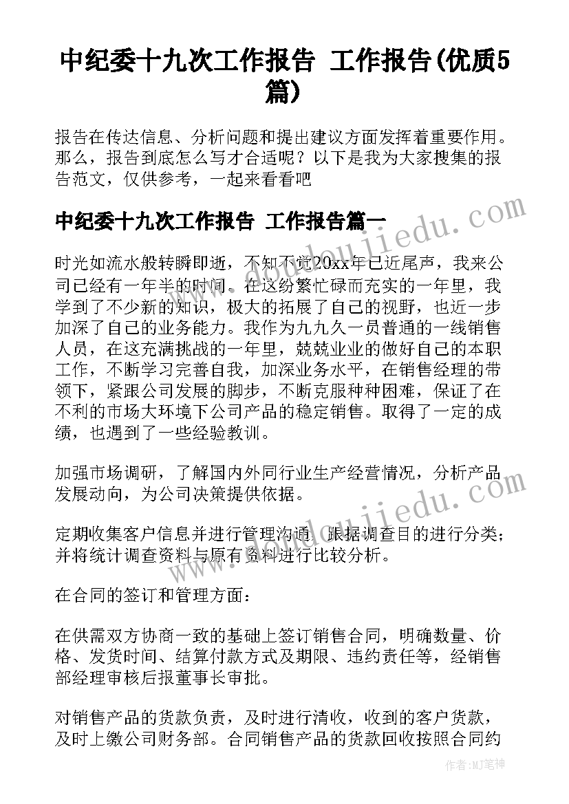 中纪委十九次工作报告 工作报告(优质5篇)