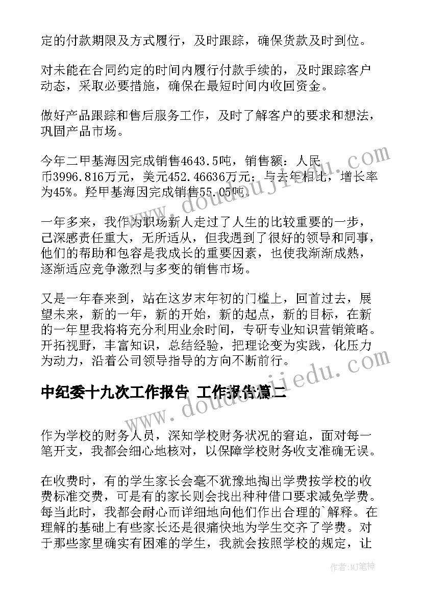 中纪委十九次工作报告 工作报告(优质5篇)