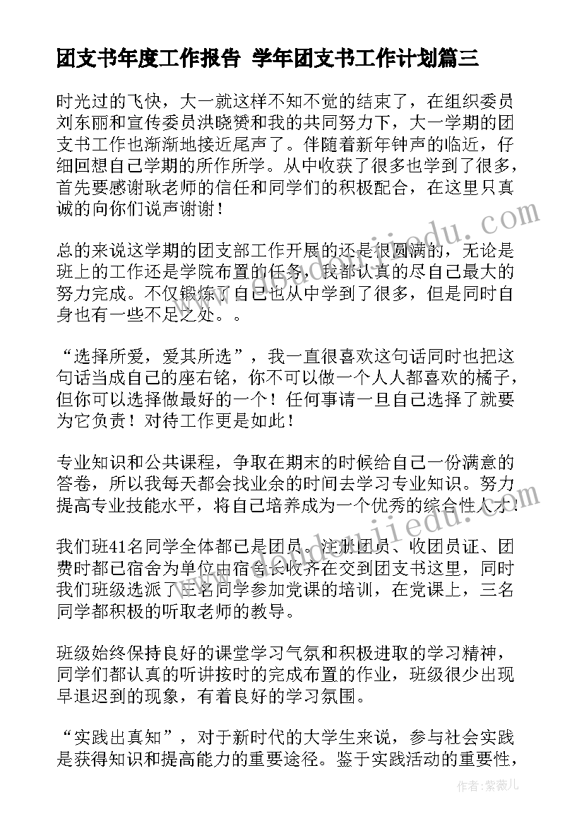 最新团支书年度工作报告 学年团支书工作计划(实用7篇)