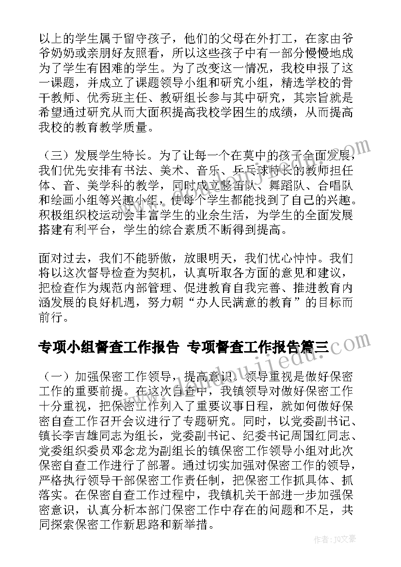 专项小组督查工作报告 专项督查工作报告(优秀5篇)