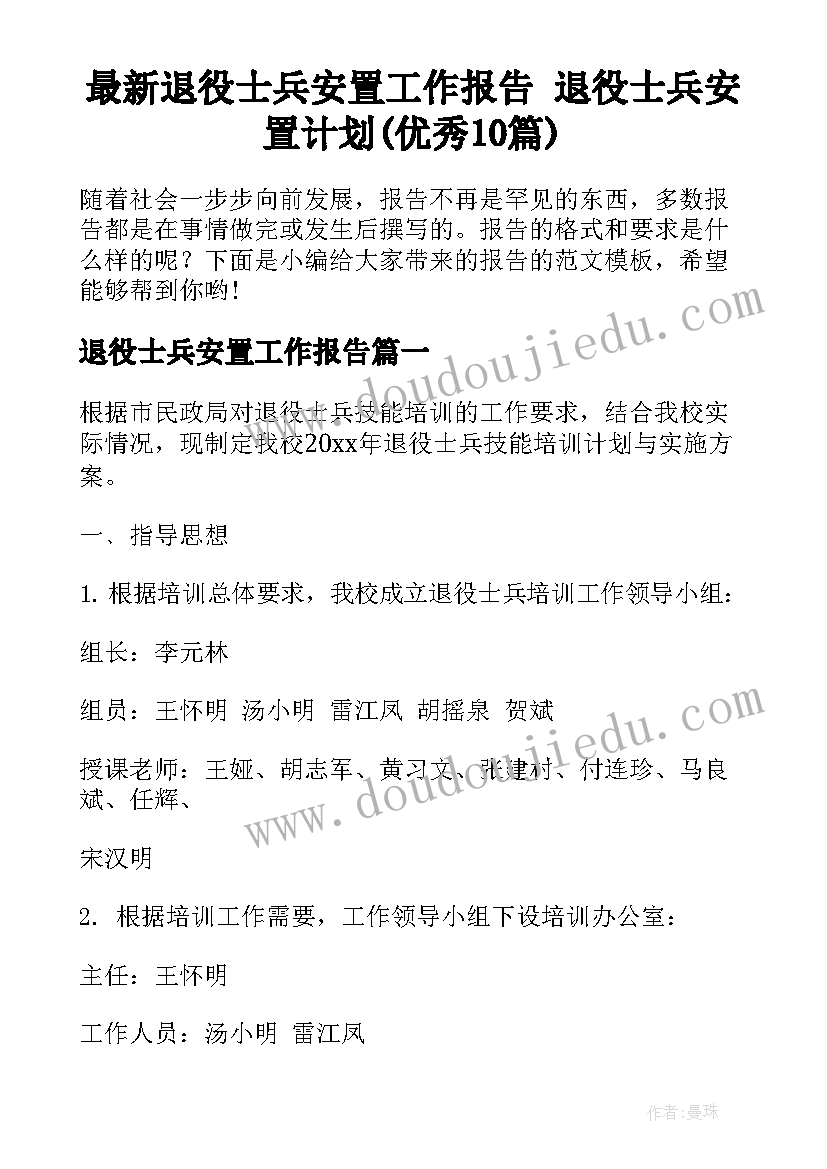 最新退役士兵安置工作报告 退役士兵安置计划(优秀10篇)