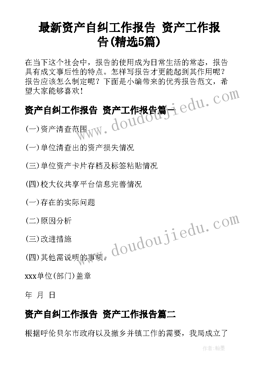 最新资产自纠工作报告 资产工作报告(精选5篇)