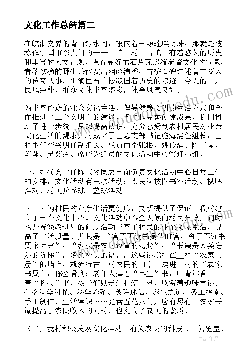 2023年文化工作总结(实用8篇)