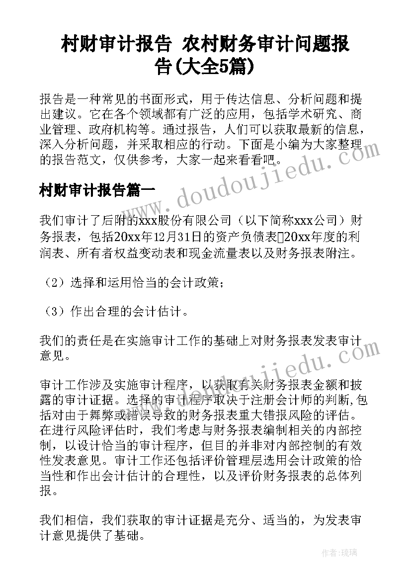 村财审计报告 农村财务审计问题报告(大全5篇)