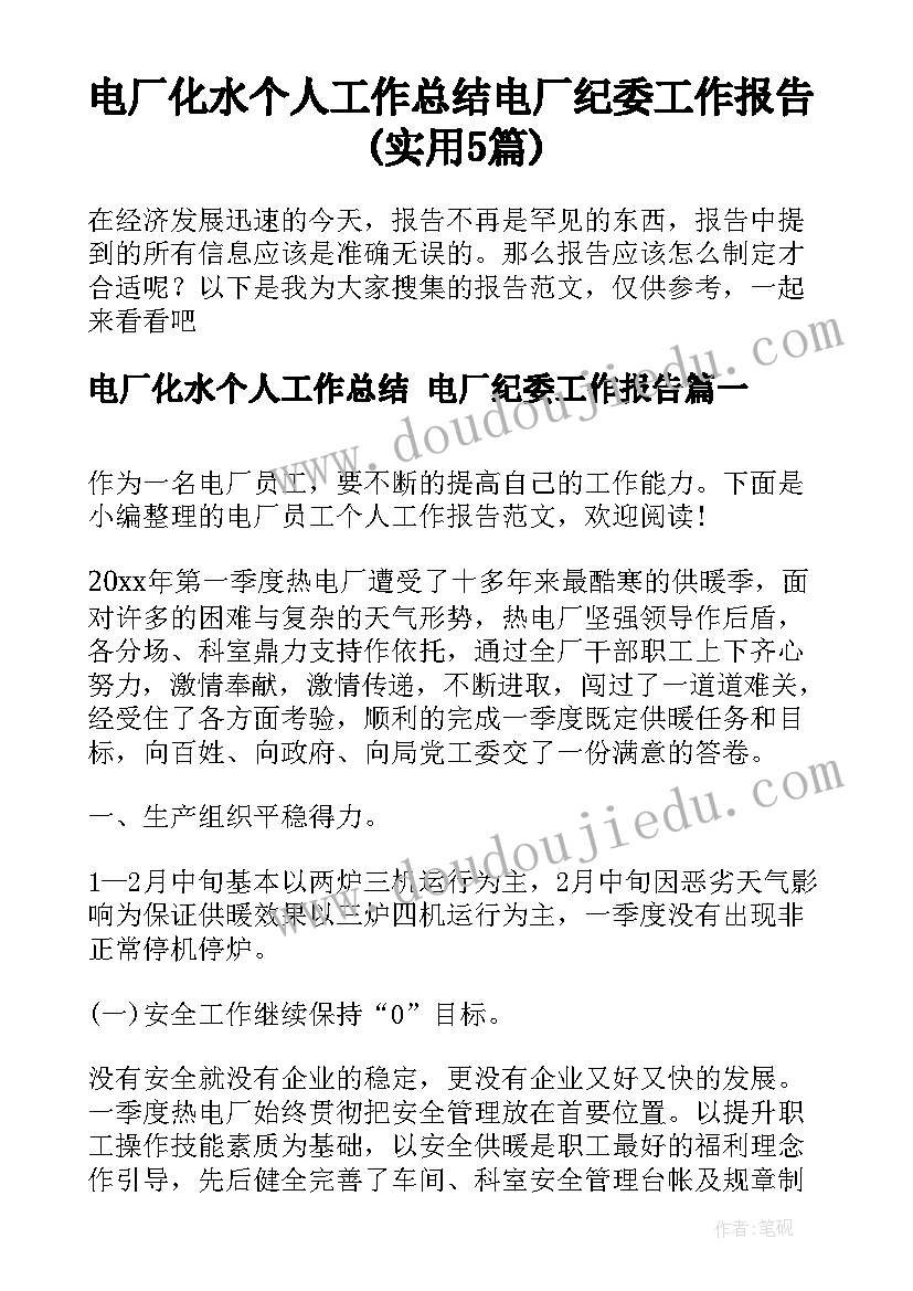 电厂化水个人工作总结 电厂纪委工作报告(实用5篇)