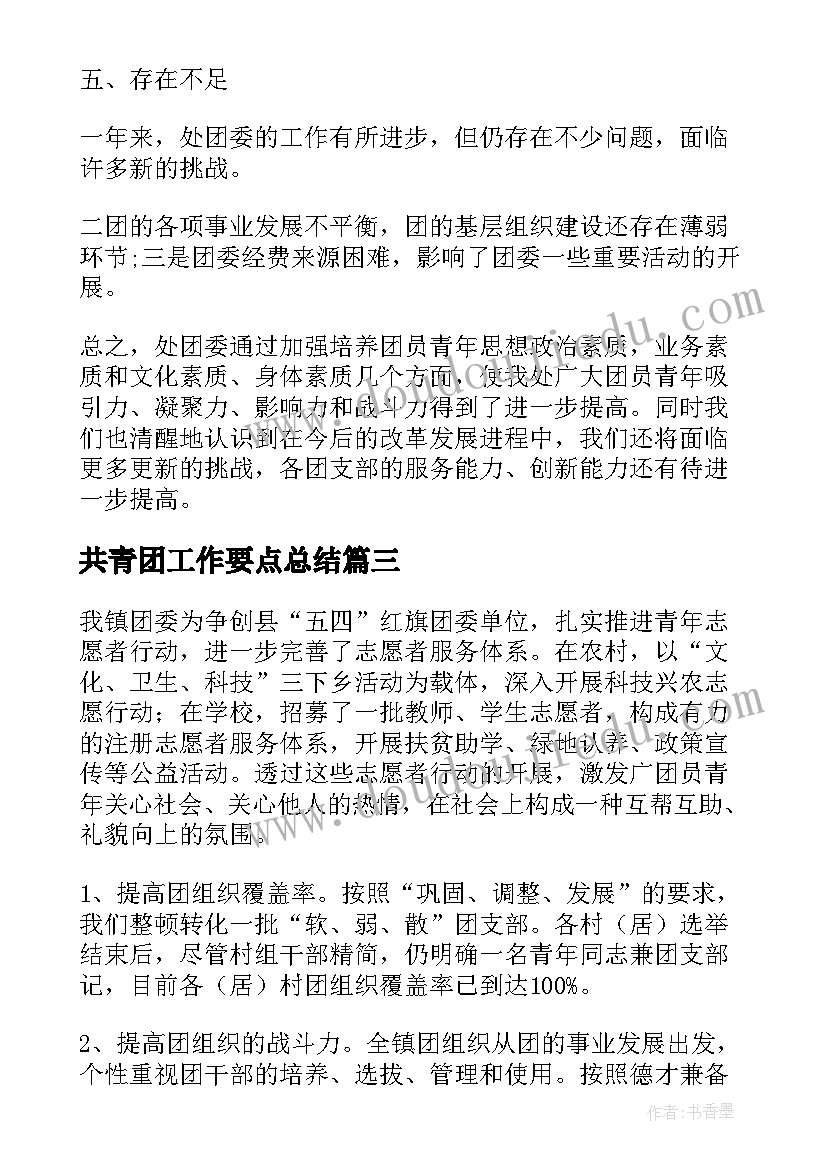 2023年共青团工作要点总结(精选10篇)