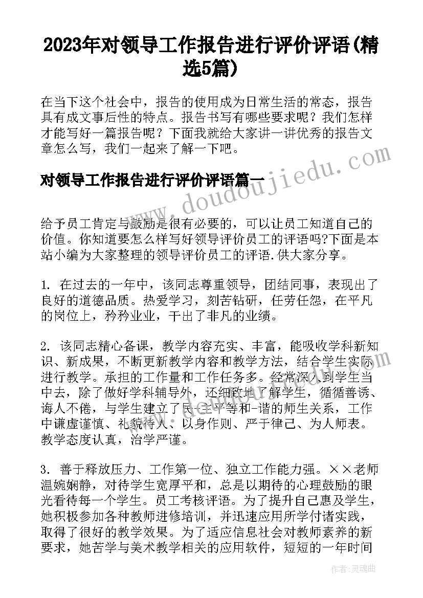 2023年对领导工作报告进行评价评语(精选5篇)