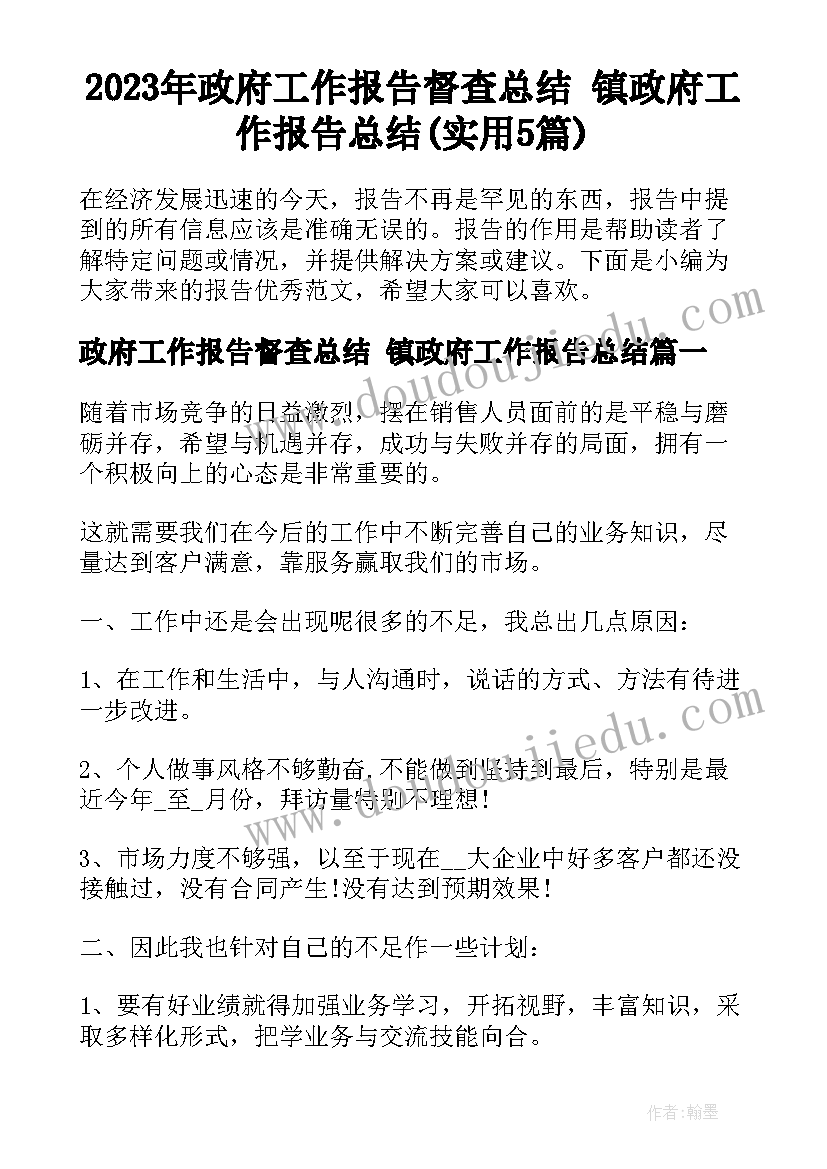 2023年政府工作报告督查总结 镇政府工作报告总结(实用5篇)