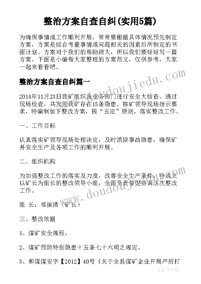 整治方案自查自纠(实用5篇)