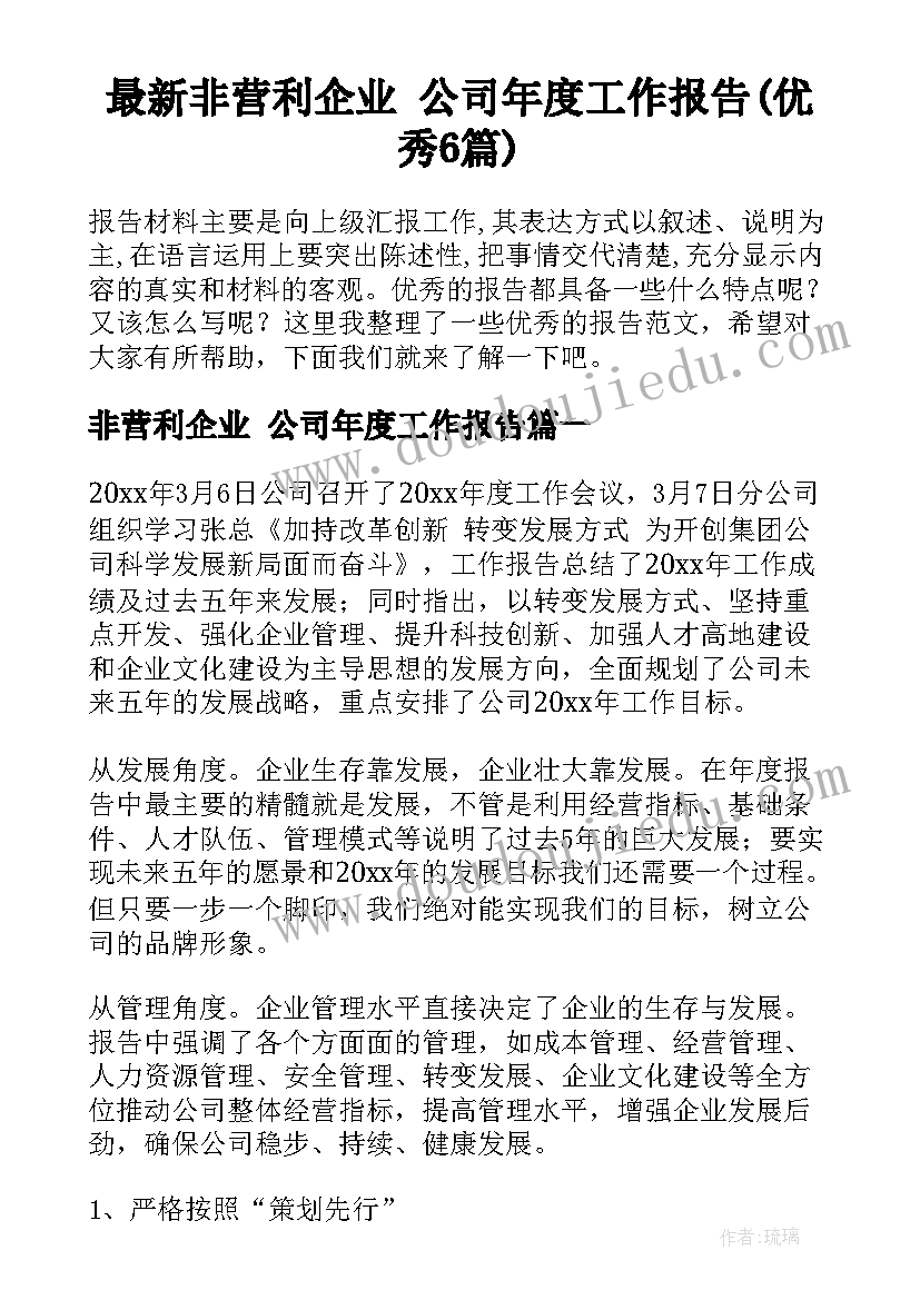 最新非营利企业 公司年度工作报告(优秀6篇)