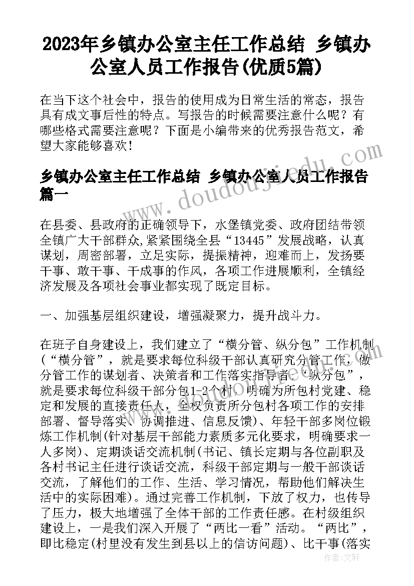 2023年乡镇办公室主任工作总结 乡镇办公室人员工作报告(优质5篇)