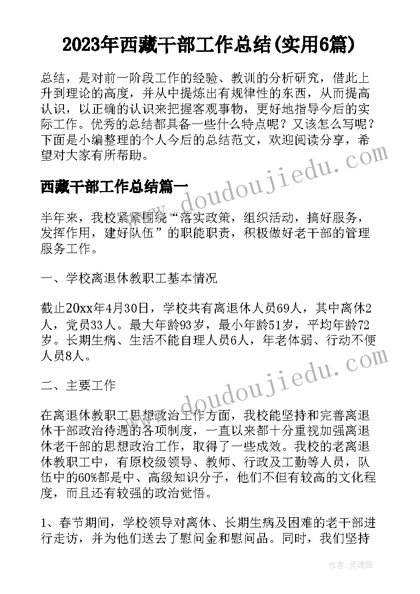 2023年西藏干部工作总结(实用6篇)