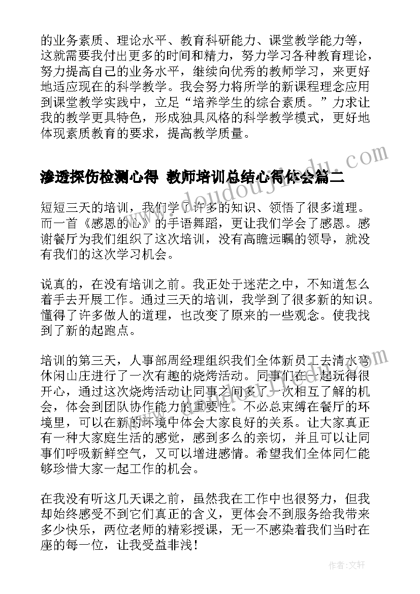 2023年渗透探伤检测心得 教师培训总结心得体会(实用10篇)