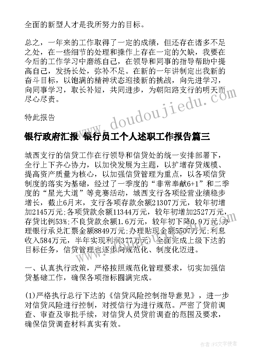 银行政府汇报 银行员工个人述职工作报告(精选5篇)