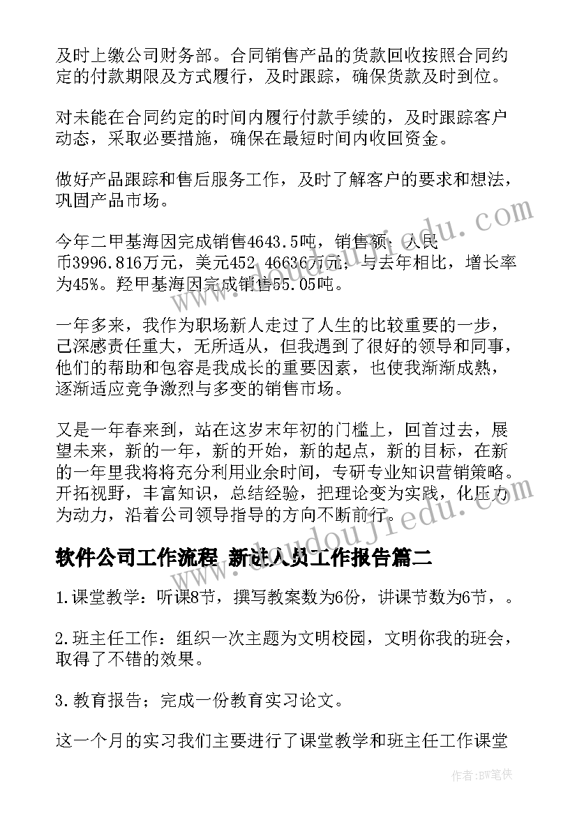 最新软件公司工作流程 新进人员工作报告(优秀5篇)