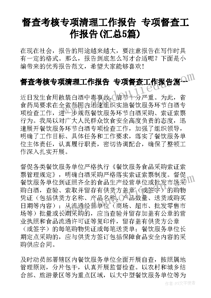 督查考核专项清理工作报告 专项督查工作报告(汇总5篇)