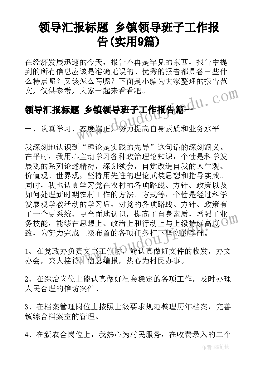 领导汇报标题 乡镇领导班子工作报告(实用9篇)