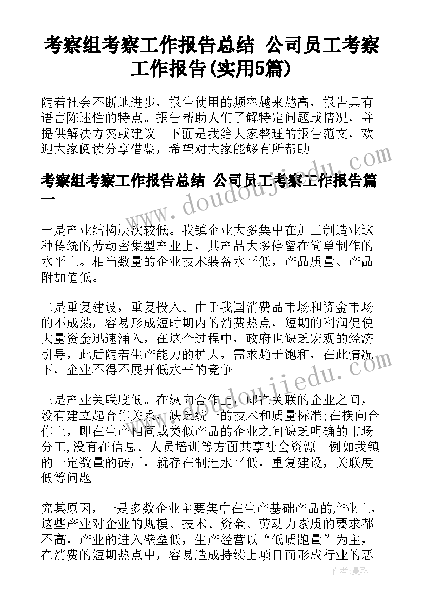 考察组考察工作报告总结 公司员工考察工作报告(实用5篇)