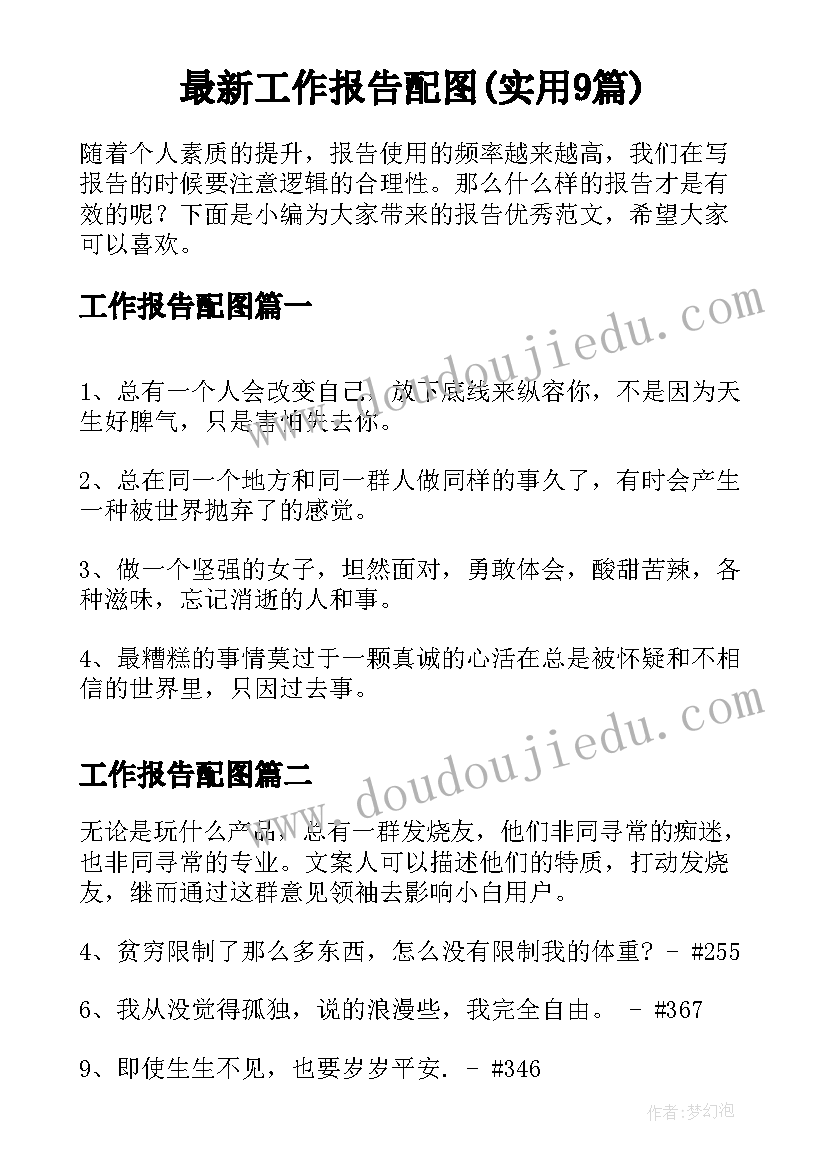 最新工作报告配图(实用9篇)