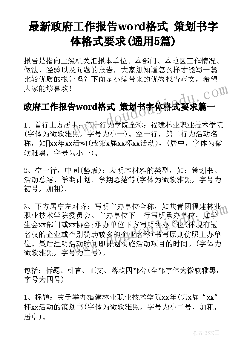 最新政府工作报告word格式 策划书字体格式要求(通用5篇)