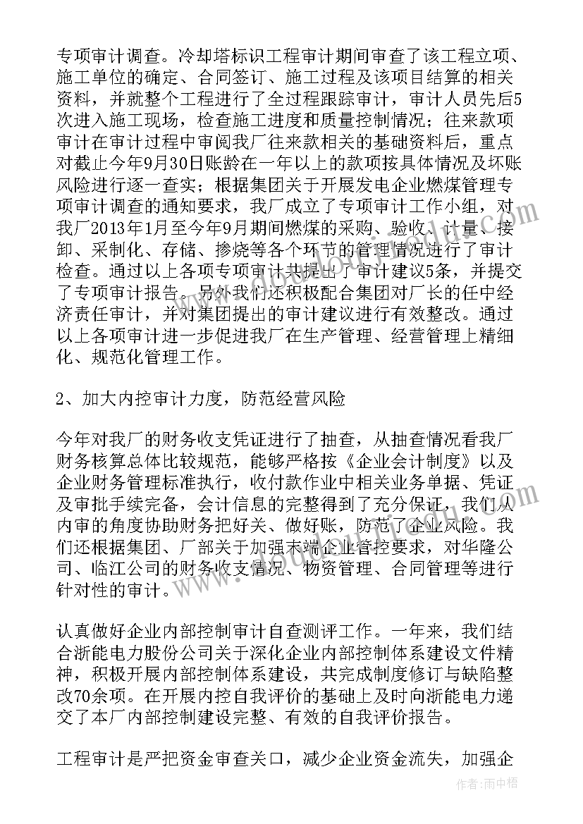 审计员年度工作总结 审计工作报告(大全8篇)