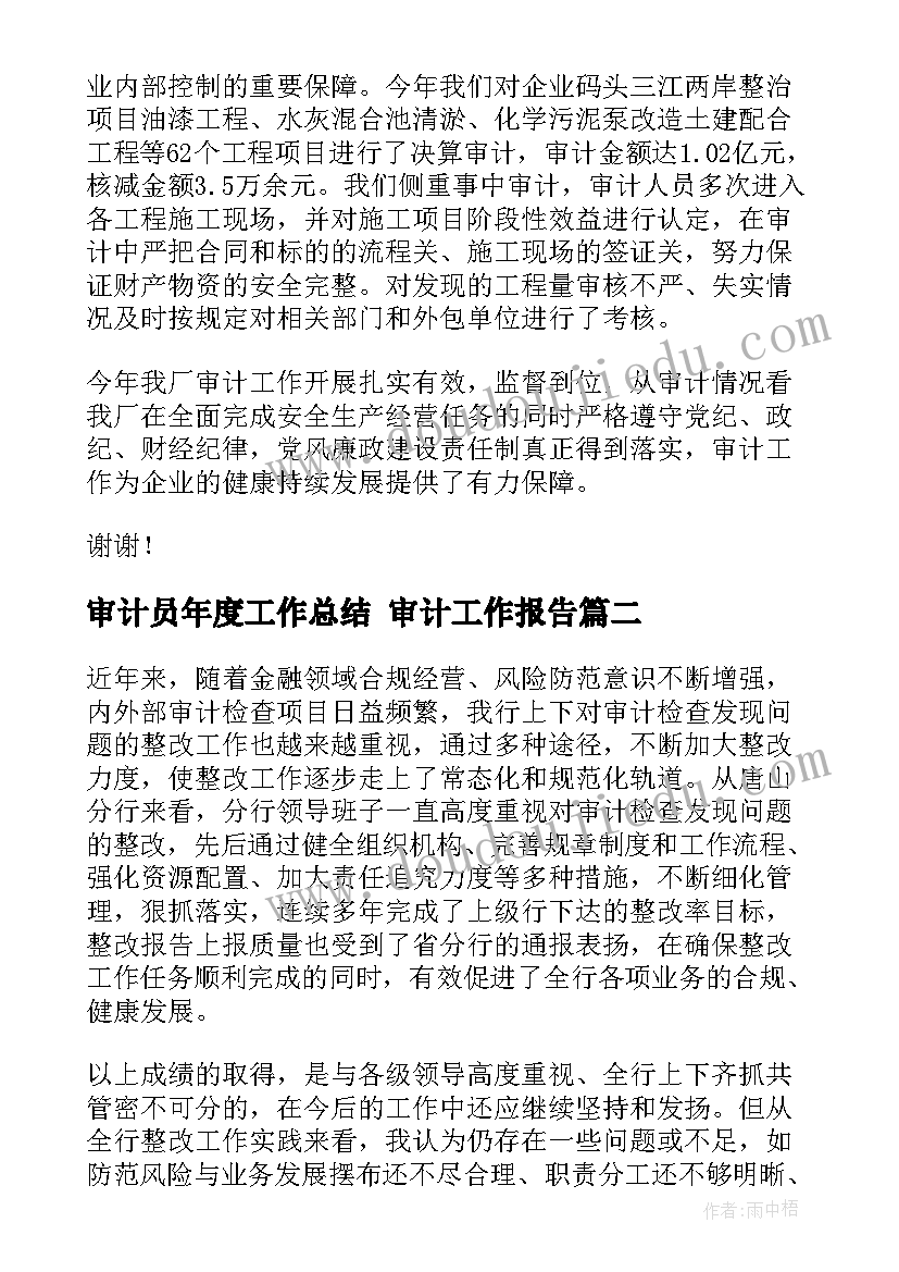 审计员年度工作总结 审计工作报告(大全8篇)