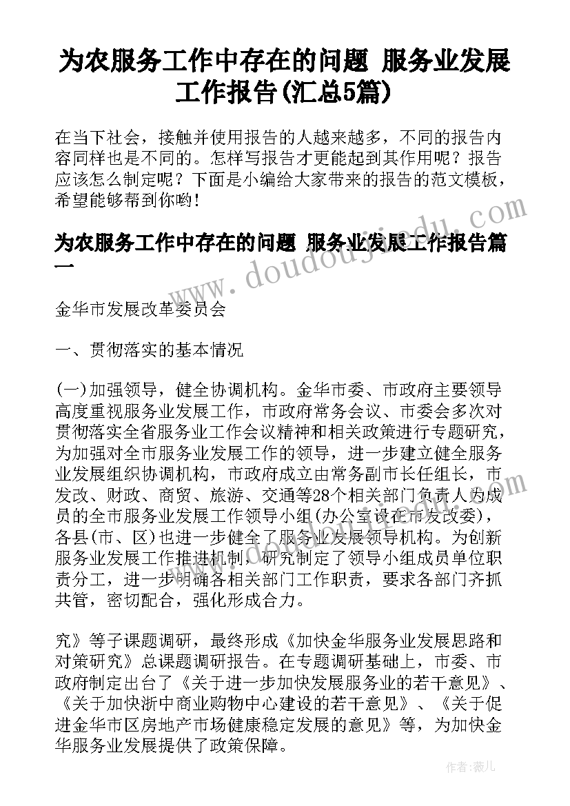 为农服务工作中存在的问题 服务业发展工作报告(汇总5篇)