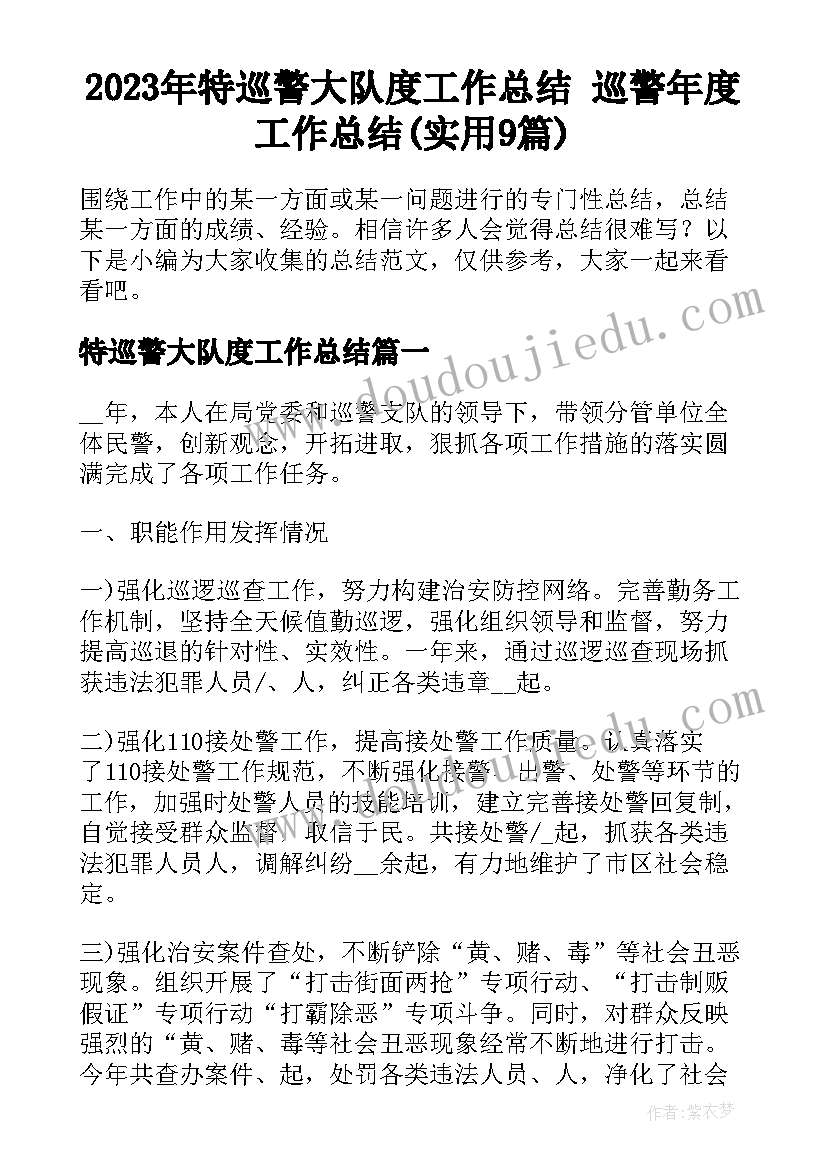 2023年特巡警大队度工作总结 巡警年度工作总结(实用9篇)