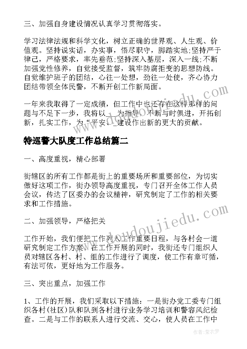 2023年特巡警大队度工作总结 巡警年度工作总结(实用9篇)