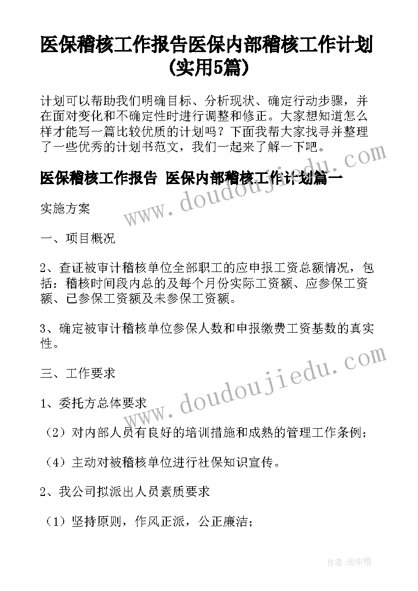 医保稽核工作报告 医保内部稽核工作计划(实用5篇)