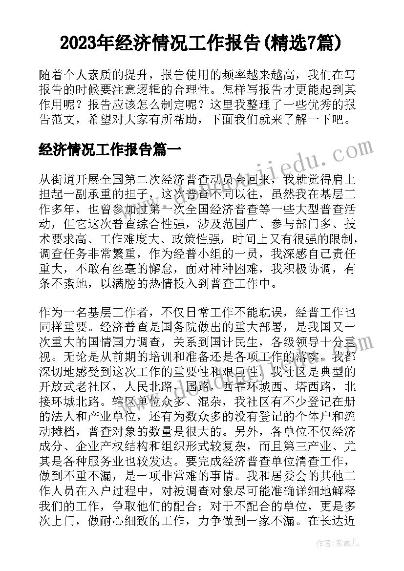 2023年经济情况工作报告(精选7篇)