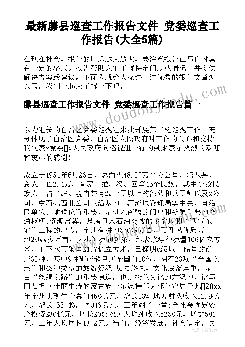 最新藤县巡查工作报告文件 党委巡查工作报告(大全5篇)