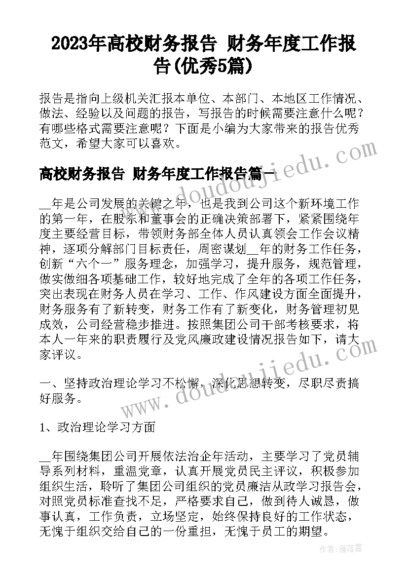 2023年高校财务报告 财务年度工作报告(优秀5篇)