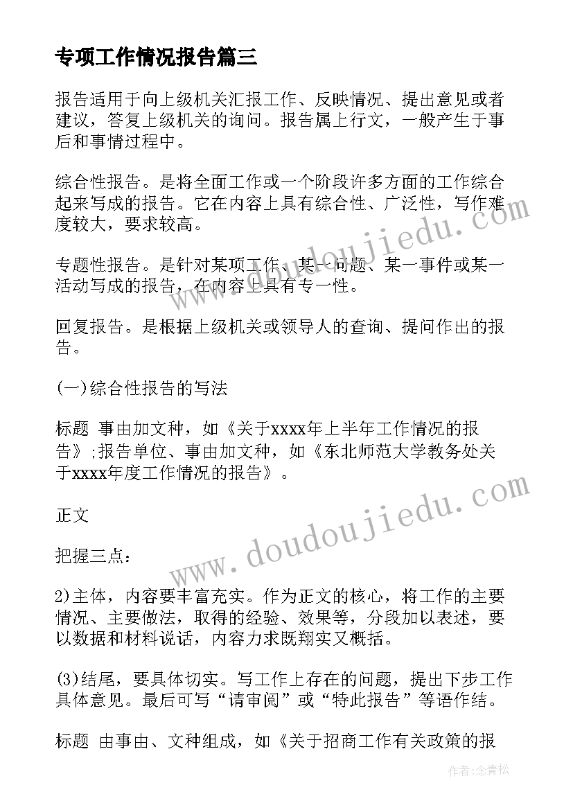 2023年专项工作情况报告(大全9篇)