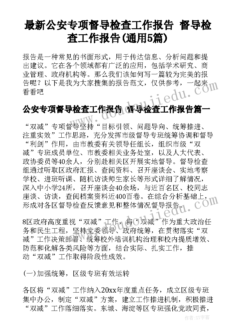 最新公安专项督导检查工作报告 督导检查工作报告(通用5篇)