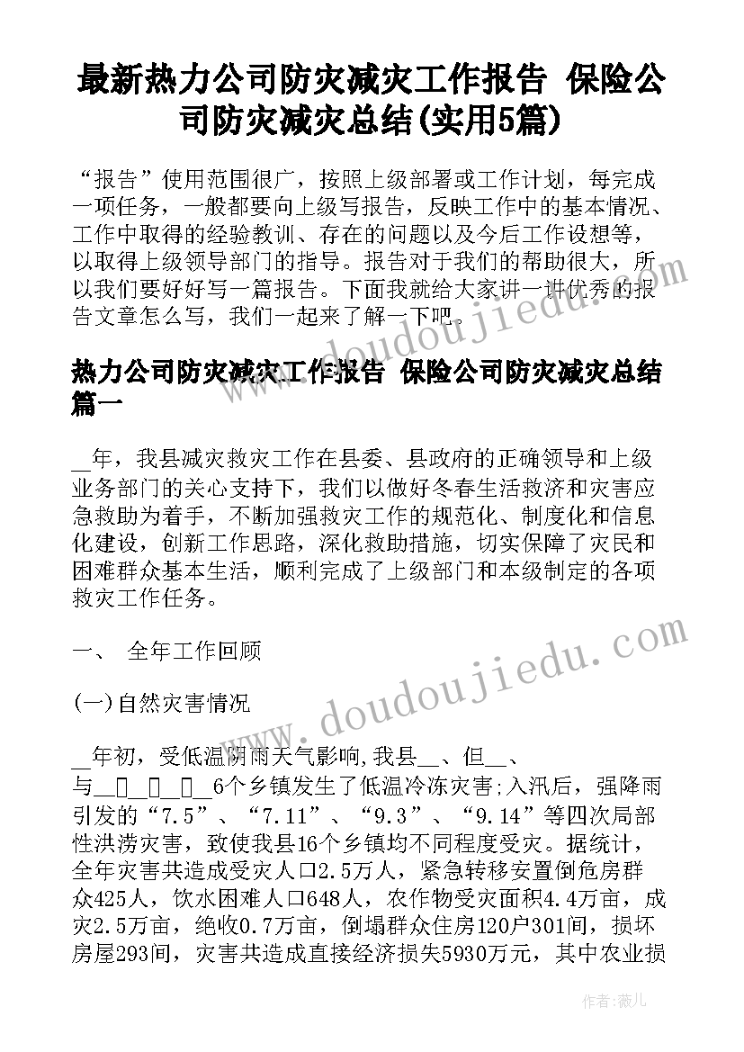 最新热力公司防灾减灾工作报告 保险公司防灾减灾总结(实用5篇)