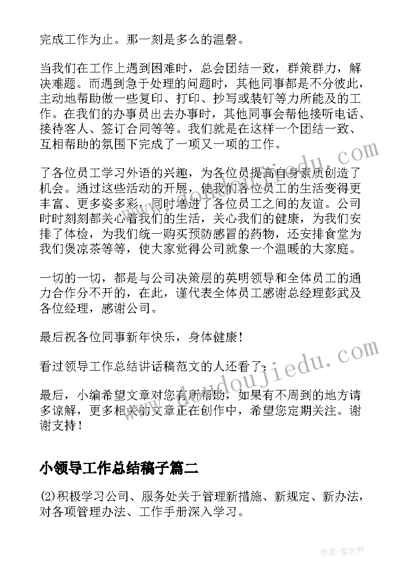 2023年小领导工作总结稿子(模板10篇)