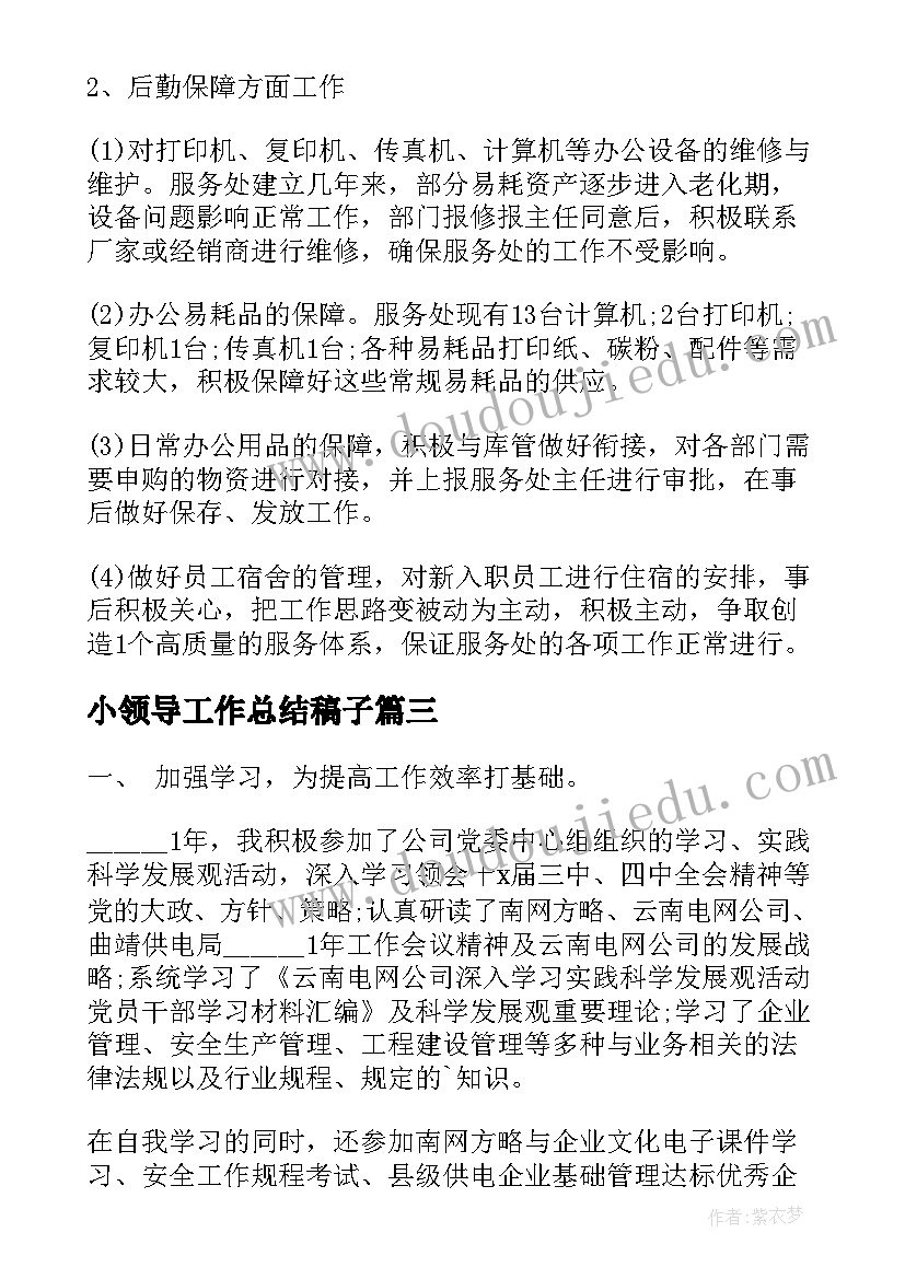 2023年小领导工作总结稿子(模板10篇)