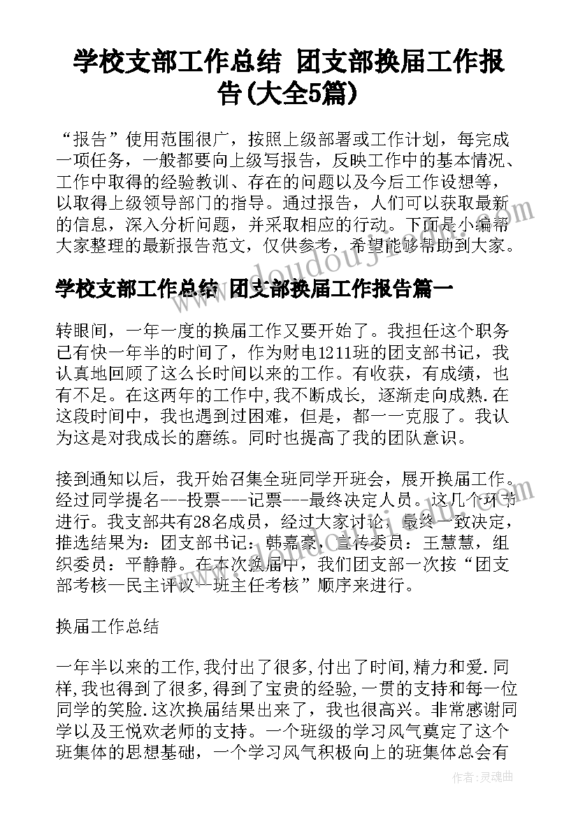 学校支部工作总结 团支部换届工作报告(大全5篇)