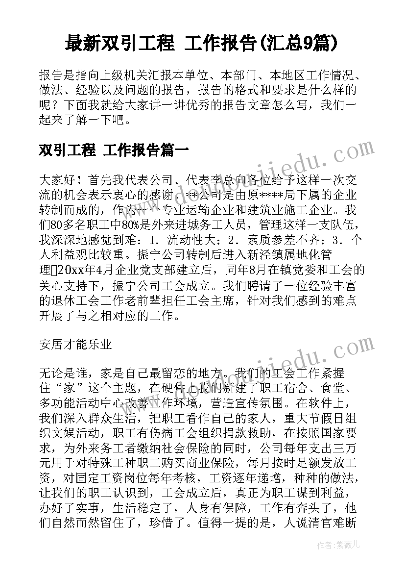 最新双引工程 工作报告(汇总9篇)