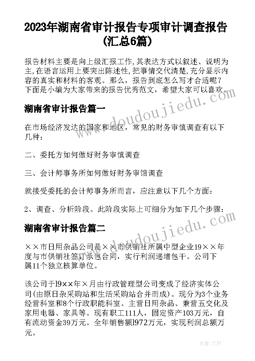 2023年湖南省审计报告 专项审计调查报告(汇总6篇)