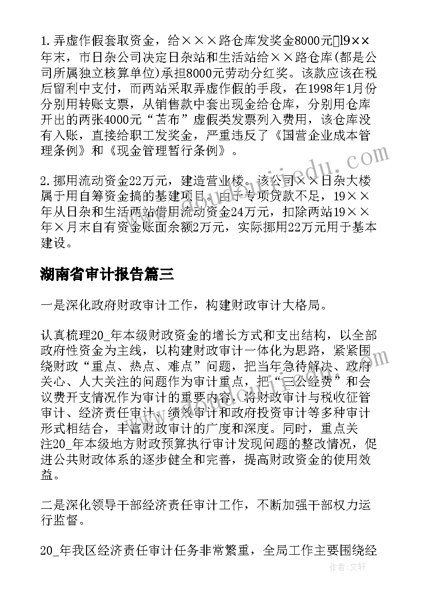 2023年湖南省审计报告 专项审计调查报告(汇总6篇)